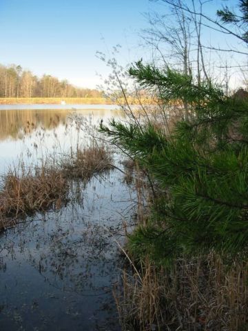 Lakeside viewed from the trail