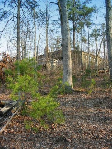 Lodge viewed from the lakeside trail